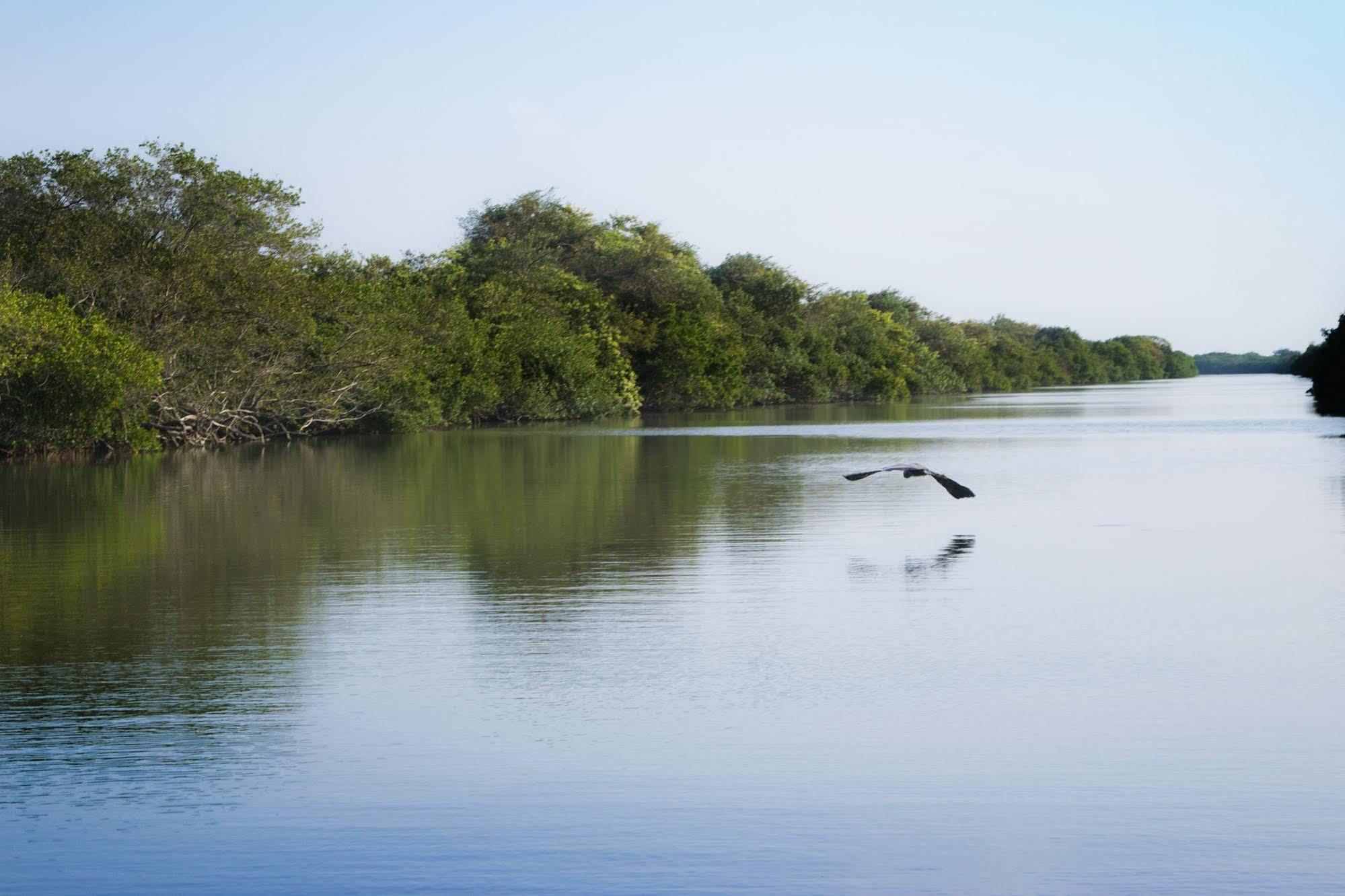 Hotel Isla Tajín Tuxpan  Exteriér fotografie
